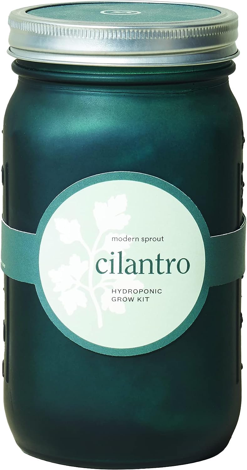 Modern Sprout Glass Jar Grow Set, Indoor Herb Garden, Seed Starter Set, Organic, Non-GMO, Cilantro