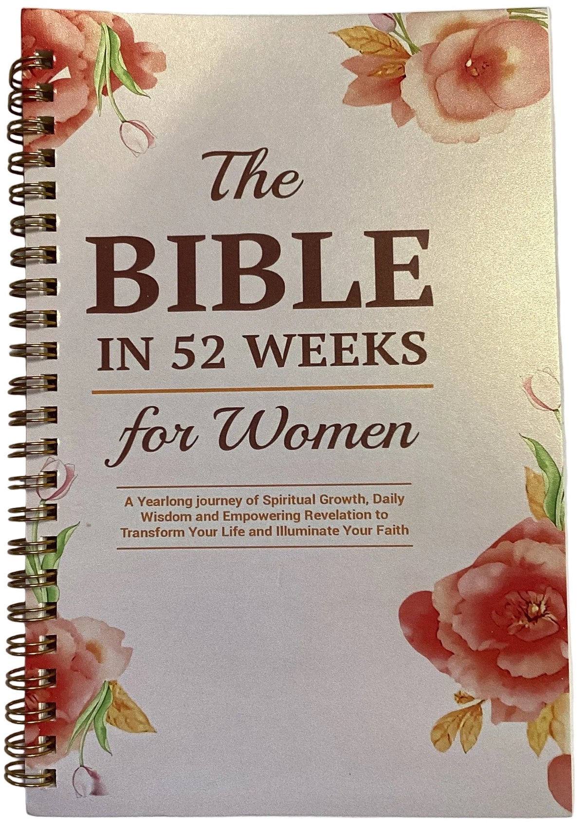 The Bible in 52 Weeks Journal for Women