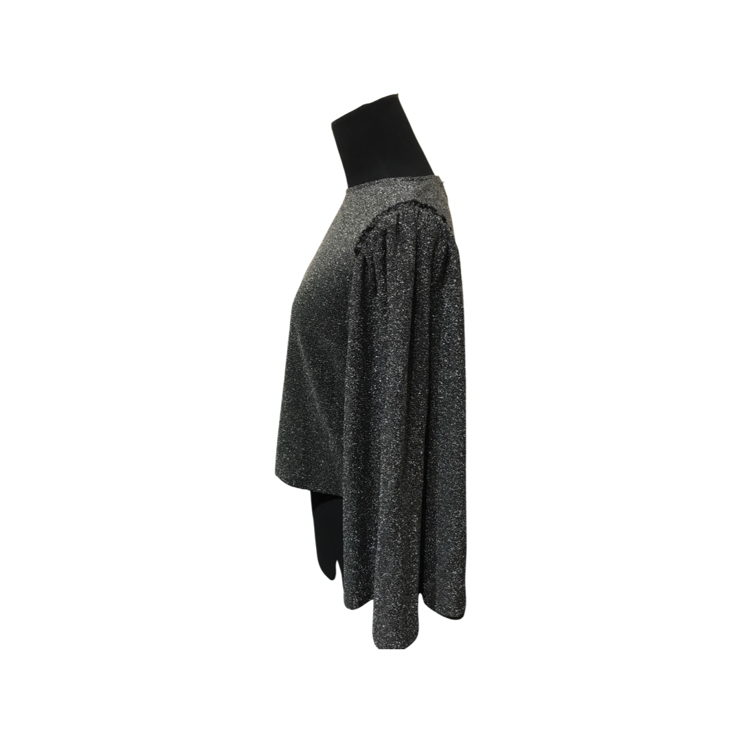 Express Women's Shimmer Glitter Top with Bell Sleeves.