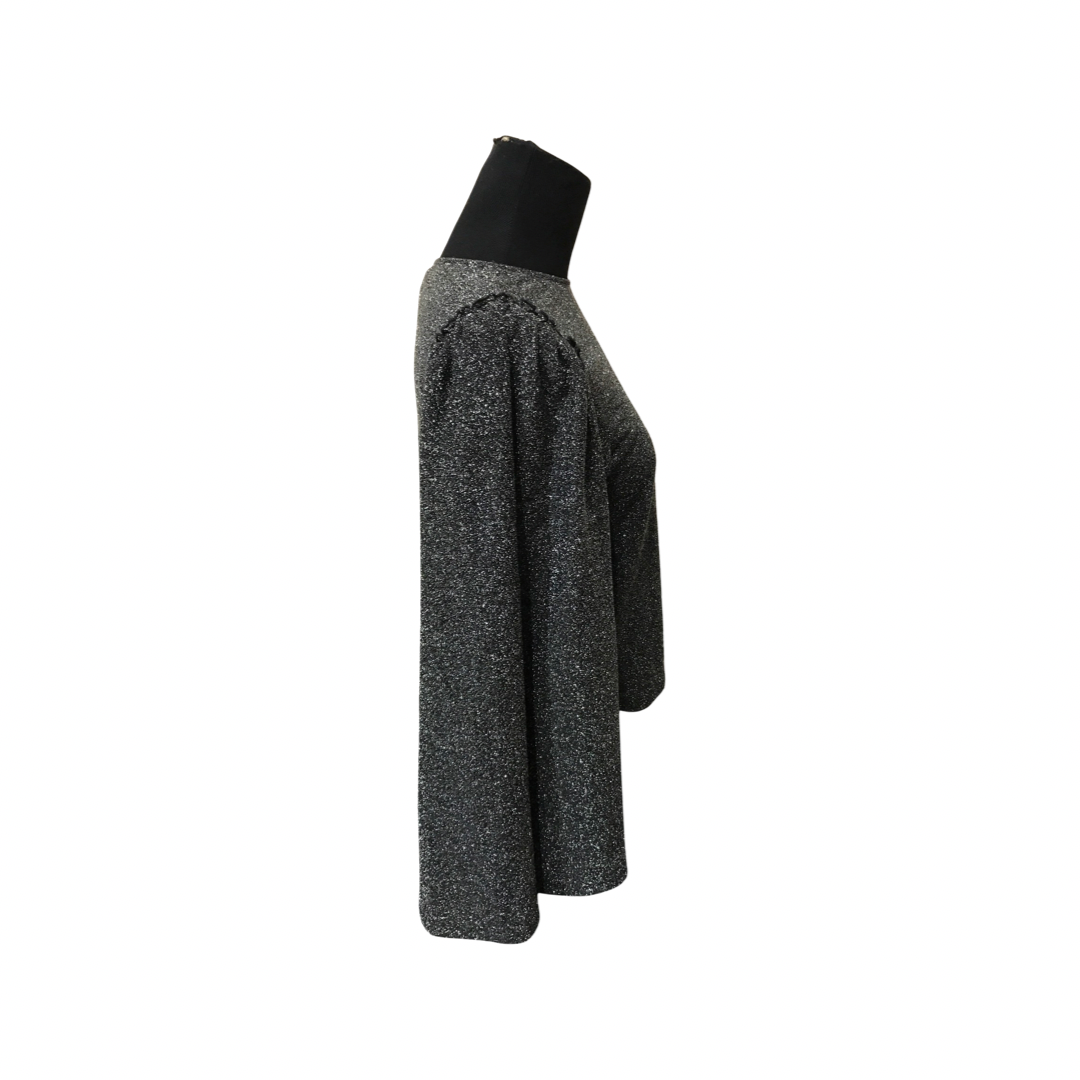 Express Women's Shimmer Glitter Top with Bell Sleeves.