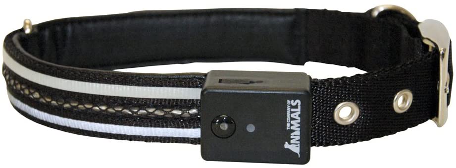 The Company of Animals Medium Vivid Dog Collar, Black