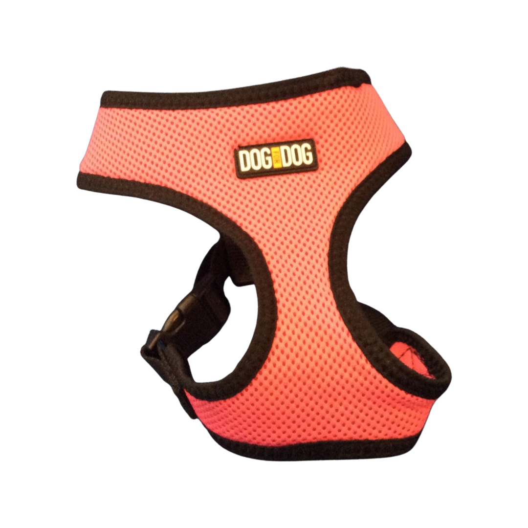 Dog Harness