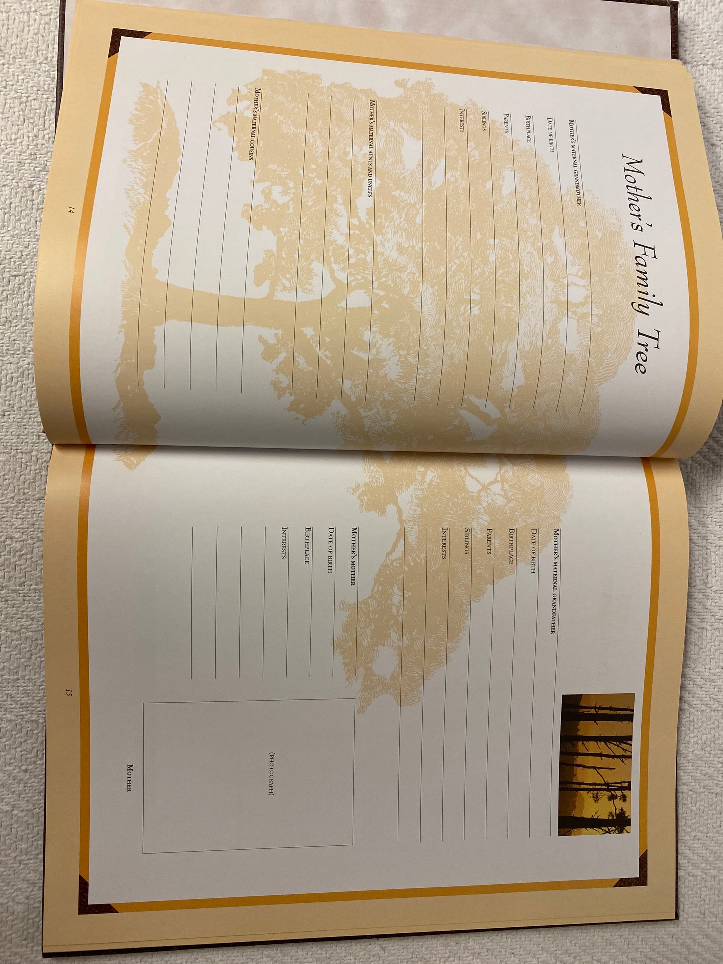The Family Tree and Album