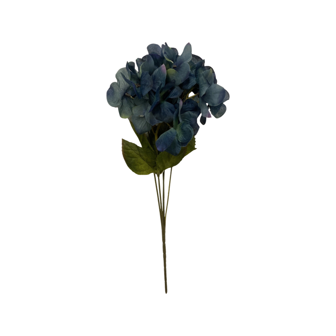 Bouquet of Carnations