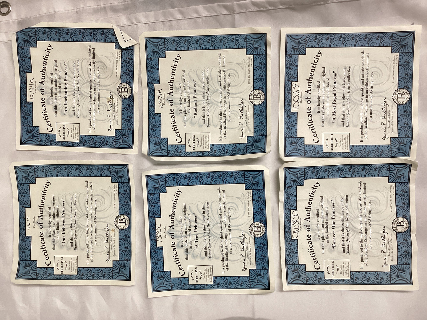 Princess Diana Bradford Exchange Plate Set 8 pcs