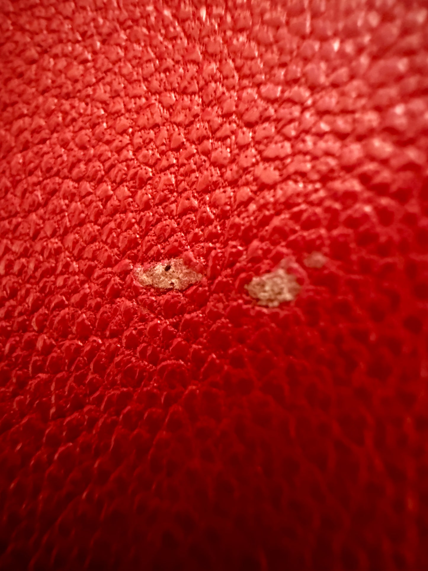 Carolyne Roehm Red with Black Leather Jacket - Previously Owned