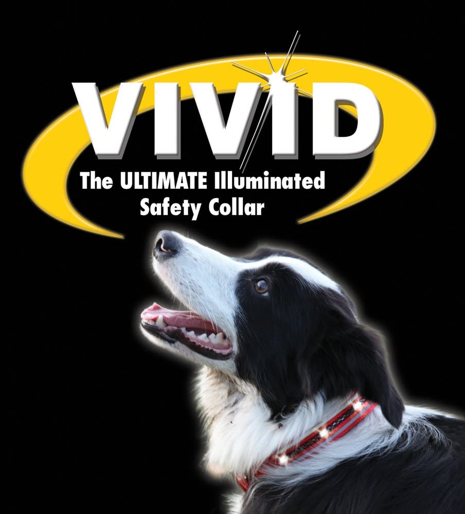 The Company of Animals Medium Vivid Dog Collar, Black