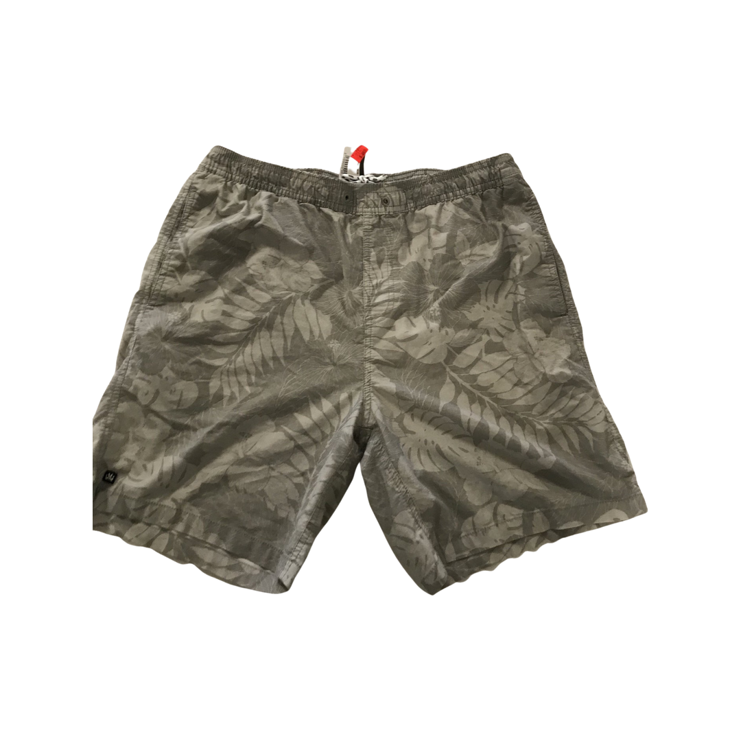 Micros swim deals trunks